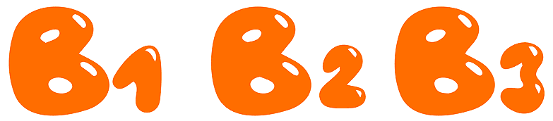 b1 b2 b3